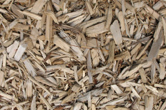 biomass boilers Wiggonholt